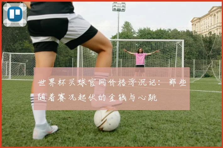 世界杯买球官网价格浮沉记：那些随着赛况起伏的金钱与心跳