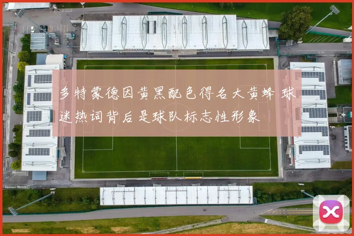 多特蒙德因黄黑配色得名大黄蜂 球迷热词背后是球队标志性形象
