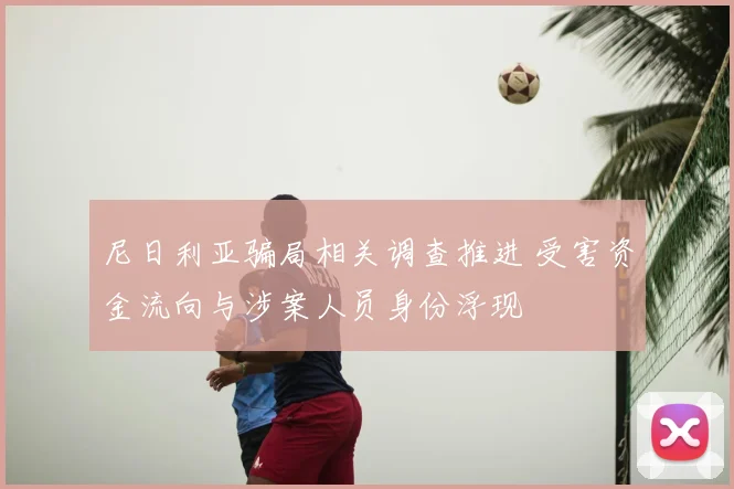 尼日利亚骗局相关调查推进 受害资金流向与涉案人员身份浮现
