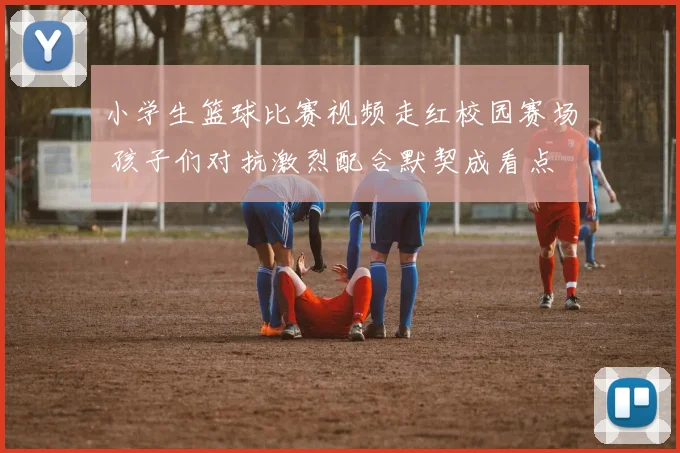 小学生篮球比赛视频走红校园赛场 孩子们对抗激烈配合默契成看点