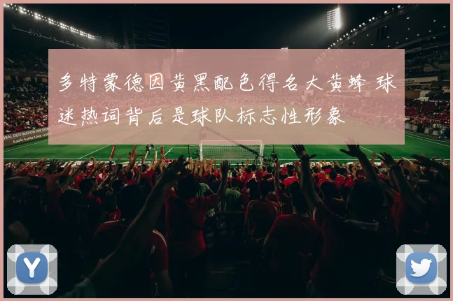 多特蒙德因黄黑配色得名大黄蜂 球迷热词背后是球队标志性形象